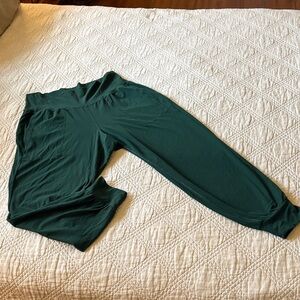 Green Jogger Pants from Athleta size 1X.